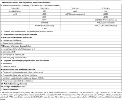 Hematopoietic Stem Cell Transplantation in Primary Immunodeficiency Diseases: Current Status and Future Perspectives